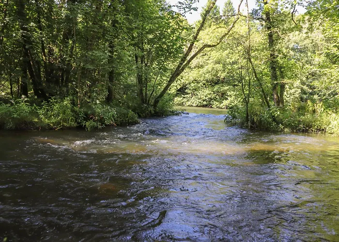 The Brambles 阿尔弗斯顿