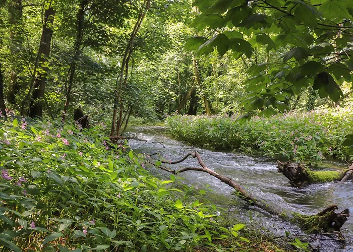 The Brambles 度假居 *